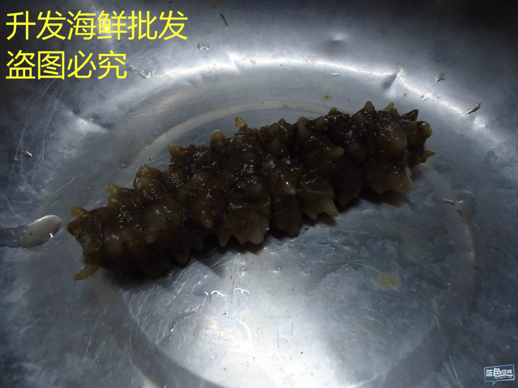 汕头海鲜批发市场_黄骅海鲜批发市场_三亚第一市场海鲜图片(2)
