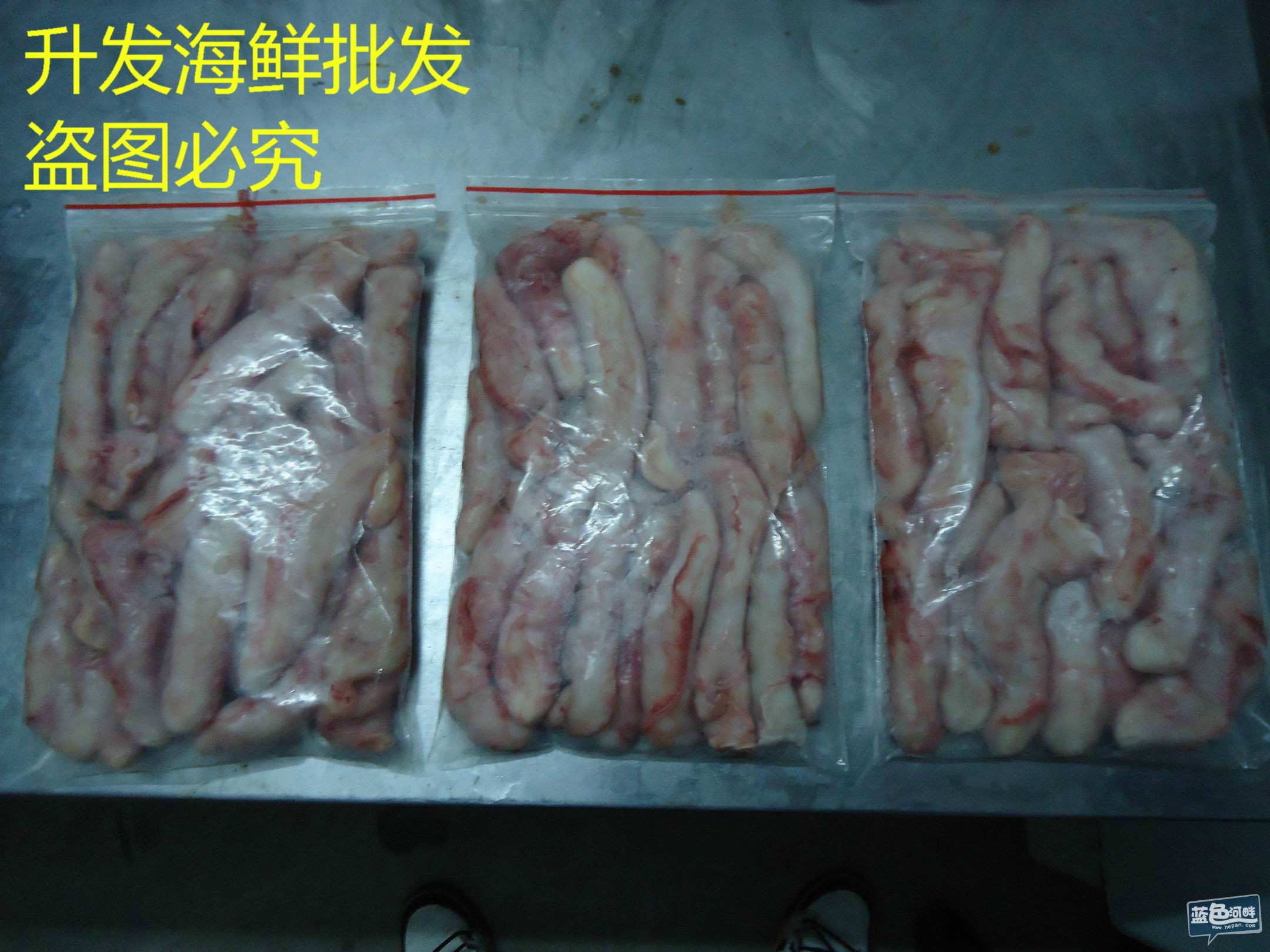 汕头海鲜批发市场_黄骅海鲜批发市场_三亚第一市场海鲜图片(2)