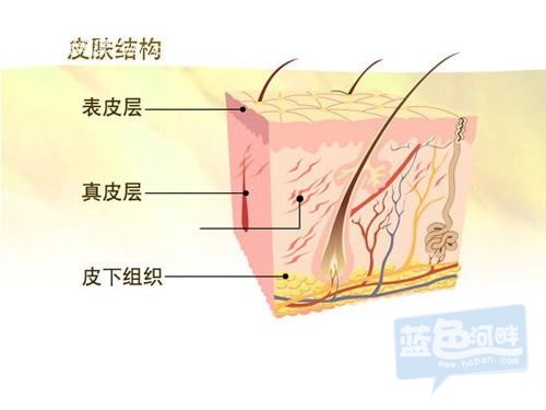 141555lqxmjim8hjstsjzl.jpg